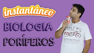 Poríferos  Biologia  Sandro Rech  Instantâneo [upl. by Jareen]