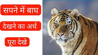 सपने में बाघ देखना Sapne me baghtiger dekhna tiger dream meaning tiger dream [upl. by Don233]