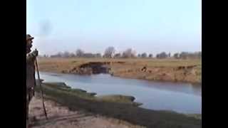 Wildfowling with John Butler and Peter Birdsall [upl. by Erdnassac]