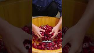 Processing Roselle Candies [upl. by Regina407]