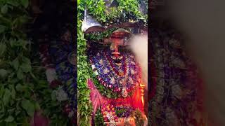 Devi ki shakti ki bhakti प्रेमचंद महरज्जी trending shorts viralvideo premanandjimaharaj status [upl. by Yssim729]