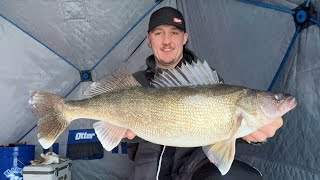 Ice Fishing Walleye [upl. by Goodson]