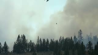 Wapiti Fire August 27 2024 Operations Briefing [upl. by Jefferey]