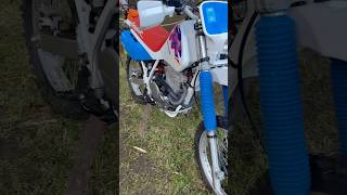 Honda XR600 1993 Japón autoclasica honda xr600r motos motocross shorts ytshorts videoshort [upl. by Renba283]