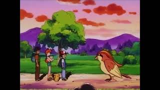 Ash Releases Pidgeot [upl. by Gradeigh]