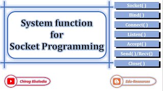 Client Server Architecture in C Sending And Receiving Data Over Socket Connection [upl. by Udele]