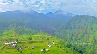 Drone View Panorama Pinus HJP Land Camping Ground  Mount Salak  Indonesia [upl. by Strohbehn]