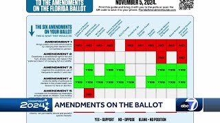 A voter guide to Floridas 2024 amendments [upl. by Niatsirk]