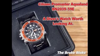 Citizen Promaster Aqualand Diver  Quality and Affordability in 1 Watch [upl. by Traci]