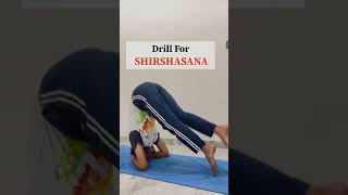 How to do Shirshasana head standonline Yoga Classes shortvideo fitness viralvideo [upl. by Atteoj895]