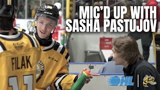 Micd Up with Sasha Pastujov of the Sarnia Sting [upl. by Etnomed910]