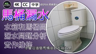 馬桶漏水 馬桶水箱和馬桶座之間漏水 漏水分析實作維修橡皮更換 水龍頭 落水頭 止洩帶 陶瓷芯 分水桿 臉盆 沐浴 居家水電修繕 Toilet leaking 阿寶頻道 ACL 修EP64 [upl. by Ahab]