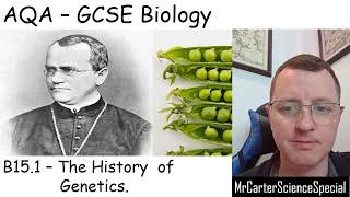 B151  The History of Genetics  AQA Biology GCSE 91 [upl. by Nerreg361]