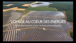 Comment une centrale solaire photovoltaïque transforme la lumière en électricité  EDF [upl. by Camille]