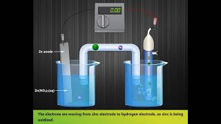 Standard Hydrogen Electrode  Construction amp Working  LearnEngg chemistry [upl. by Canty435]