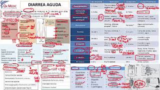 3 RM19 2V DÍA 1 GASTROENTEROLOGÍA DIARREA AGUDA N [upl. by Adrienne553]