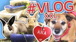 Kräuter selbst mischen 🐰🐹 Hundemarke für Ara 🐶 XXL Haustier Vlog💖🐾🎬 [upl. by Llebyram]