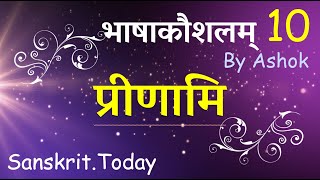 I love you Sanskrit Love Proposal  BhashaKaushalam 10  SanskritToday [upl. by Nwonknu]