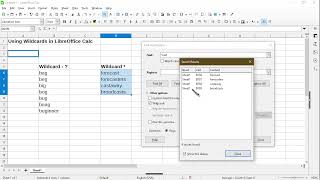 Use Wildcards in Formulas and in Find amp Replace Wizard  LibreOffice Calc [upl. by Sasha401]