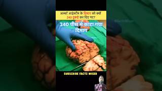 Einstein brain cutting 240 pices for researching  trending facts viralvideo [upl. by Enivid]