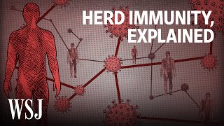 What It Would Take to Reach Herd Immunity  WSJ [upl. by Kiley]