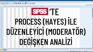 SPSSte Hayes Process Yöntemi İle Düzenleyici Moderatör Değişken Analizi [upl. by Nnyleitak151]