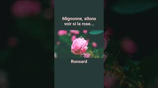 Mignonne allons voir si la rose  Ronsard [upl. by Tersina]