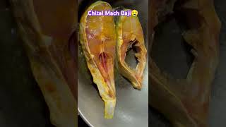 Chital Mach Baji🤤bengalirannabanna♥️viralsongfishingvideo [upl. by Rodriguez]