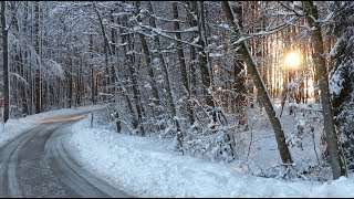 Guten Morgen Grüße mit Schneelandschaft ☕🎵🌞🌻 [upl. by Faxon]