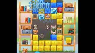 Pet Rescue Saga Level 7296 no boosters [upl. by Malvin]