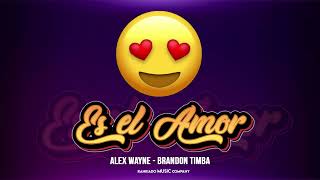 Alex Wayne  Es el Amor Ft Brandon Timba BOMBA 2024 [upl. by Eyr264]