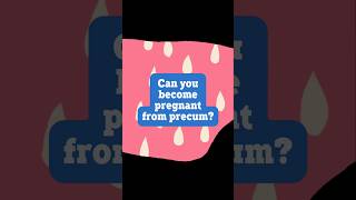 Can you Become Pregnant from Precum [upl. by Seys]