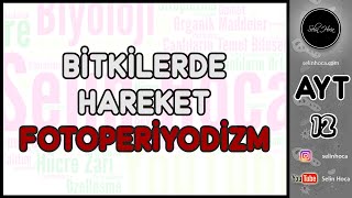 22 Bitkilerde Hareket  Fotoperiyodizm [upl. by Cacka540]