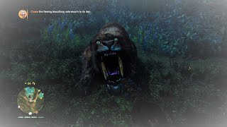 Far Cry Primal E25 The Bloodfang Sabretooth Hunt [upl. by Oiziruam]