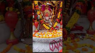 EdanaMata maa rathore edanamata nearby viralvideo [upl. by Ninetta]