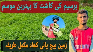 Barseem ki Kasht in Pakistan  Sowing Time of Berseem  Best Time Barsem cultivation  برسیم کی کاشت [upl. by Nim]