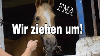 Die Pferde ziehen auf unseren Hof FMA [upl. by Atews]