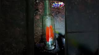 Bottle Painting new bottleart creativity painting homedecor diy bottleartindia bottleart [upl. by Leirej]