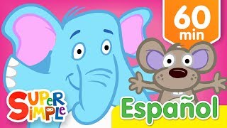 Abre Cierra Y Más Canciones Infantiles  Música Para Niños [upl. by Bowden994]