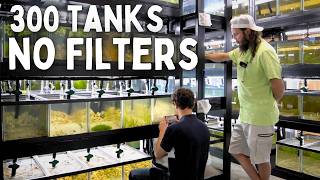 300 Aquariums with NO FILTERS  In Depth Tour [upl. by Weed]