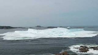 Iceberg Foundering July 4 2009 Twillingate Newfoundland [upl. by Nodyarg]