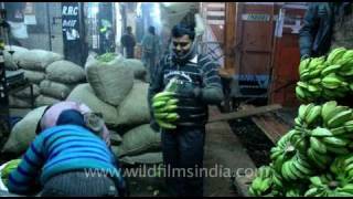 Wholesale Vegetable Market in Azadpur New Delhi [upl. by Clarkson433]