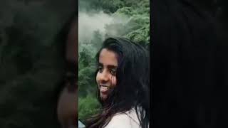 Thusharagiri Waterfalls 🌊🌊 tamilsong doglover dora tamilmusic music doramusic doraandfriends [upl. by Mariken]