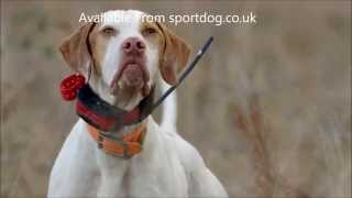 SportDOG TEK2 GPS Tracking amp Training [upl. by Jacquie]