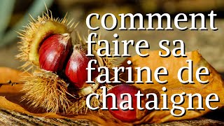 COMMENT FAIRE SA FARINE DE CHÂTAIGNE MAISON sans gluten [upl. by Yliah]