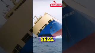 Shocking Capsizing Caught Live on Camera [upl. by Chenee]