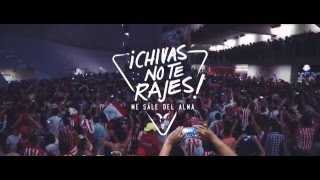 Sólo faltas Tú Chivas vs Dorados [upl. by Bobbie]