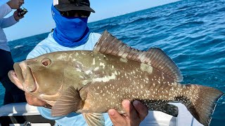 Patch Reef Fishing Easiest Way To Catch Dozens Of Snapper amp Jacks Without Live Bait [upl. by Jez553]