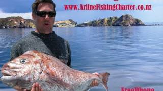 Bay of Islands Snapper Fishing New Zealand Paihia Charter trip tour [upl. by Onaled]