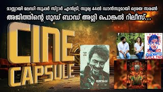 സിനി കാപ്‌സ്യൂള്‍  CINE CAPSULE [upl. by Eriam70]